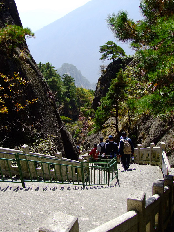 登黄山随拍