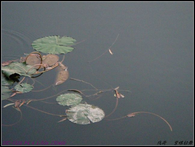 残荷