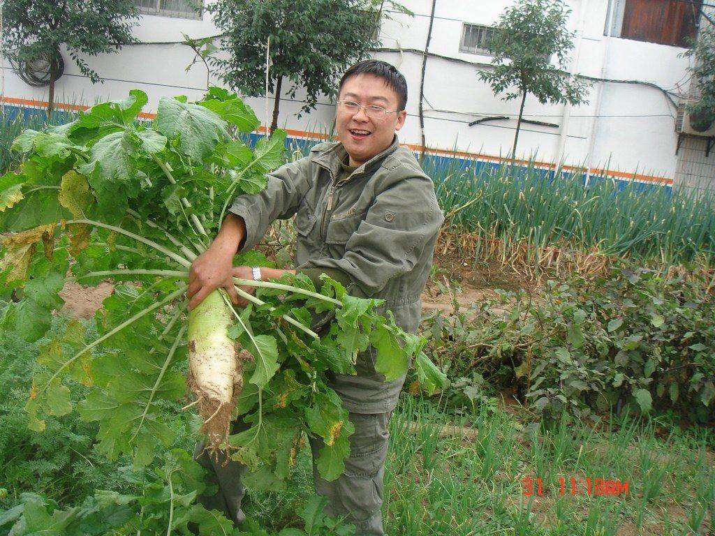 偷菜啦