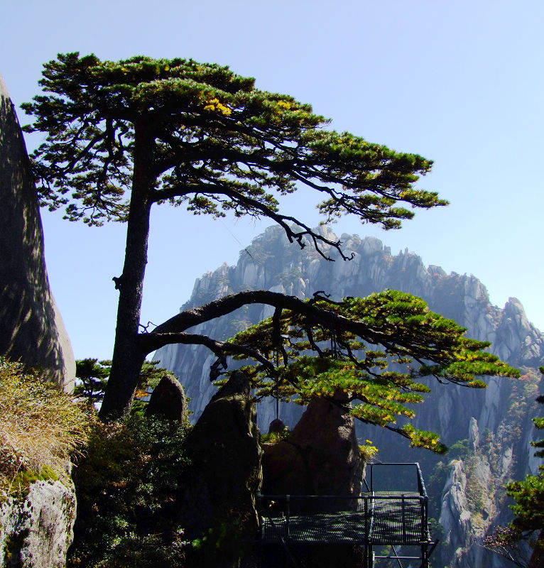 登黄山随拍