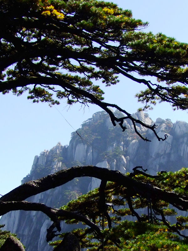 登黄山随拍