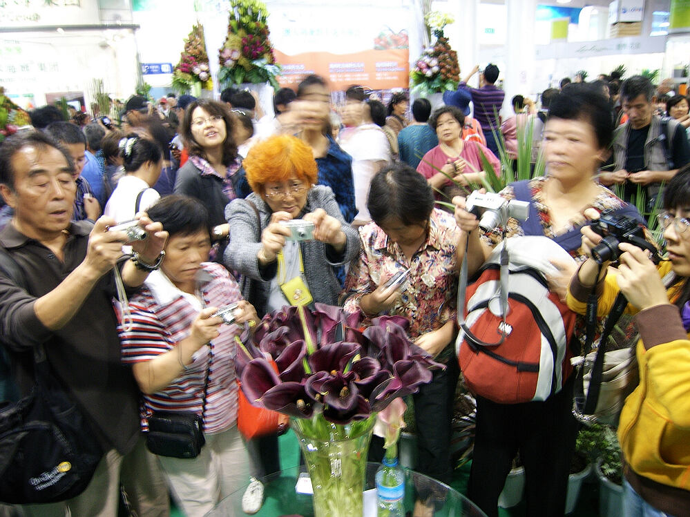 中国第七届花博会（组图）