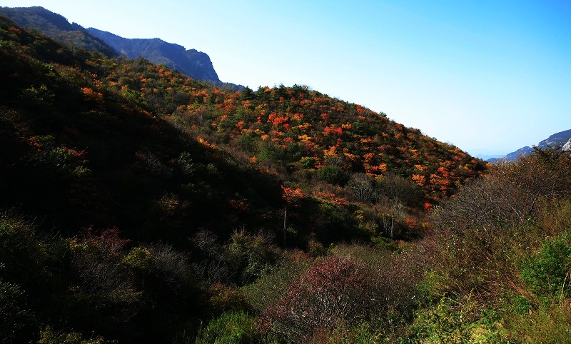 秦岭秋韵