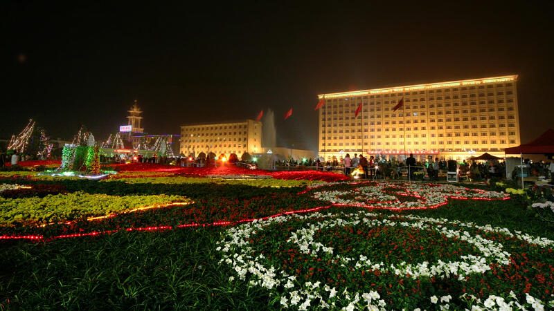 中原油田第九届国庆花展（组）