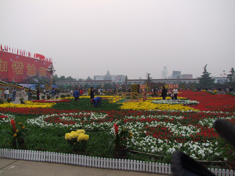 文化宫花展随拍