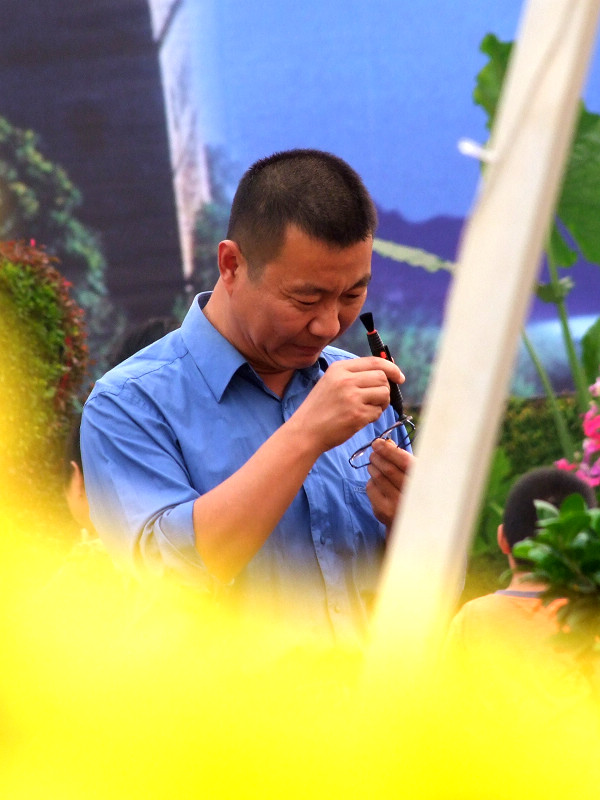 文化宫花展随拍