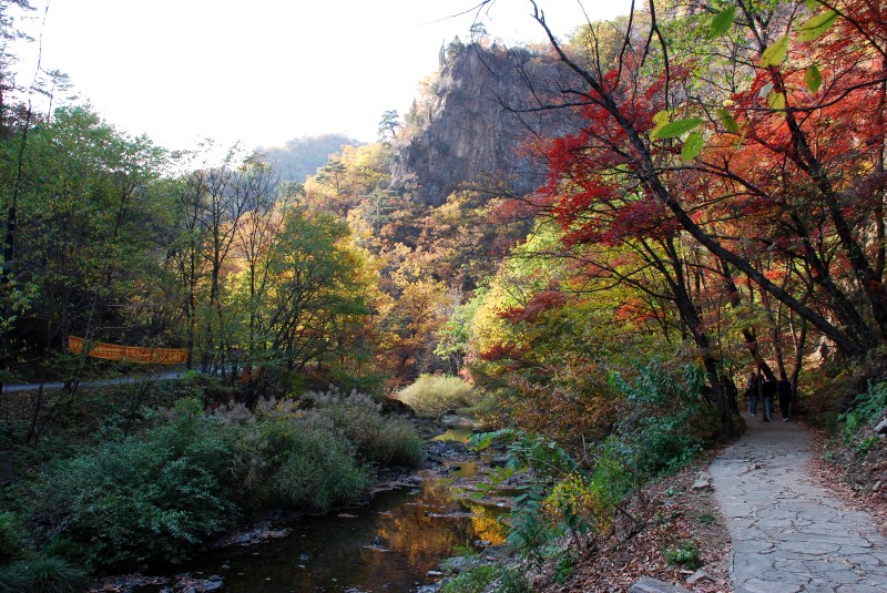 枫叶正红关门山