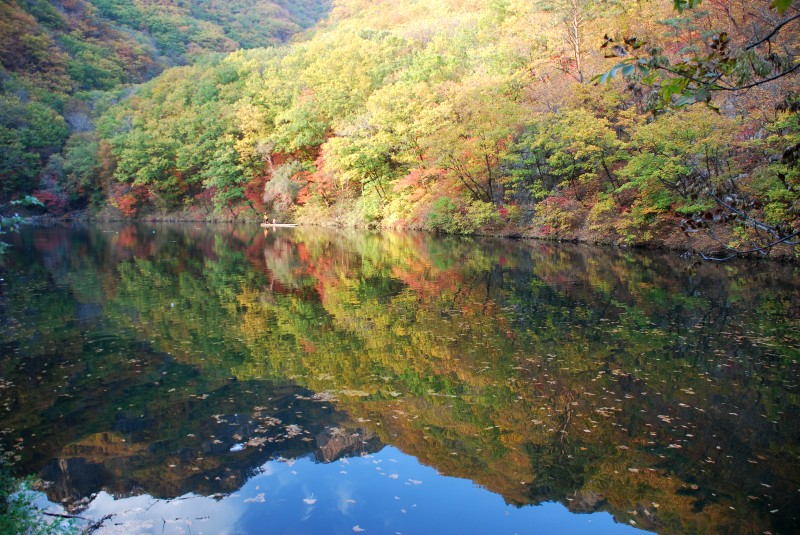 枫叶正红关门山