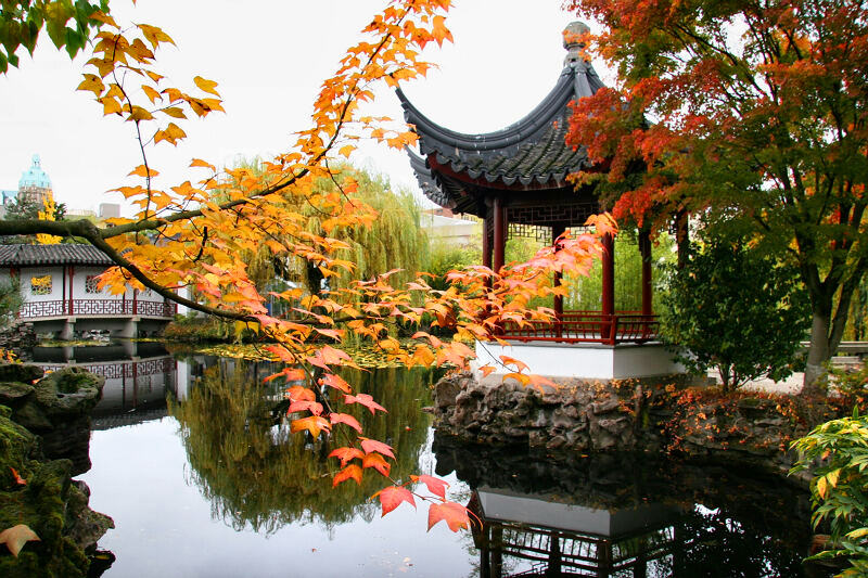 秋韵（组图）