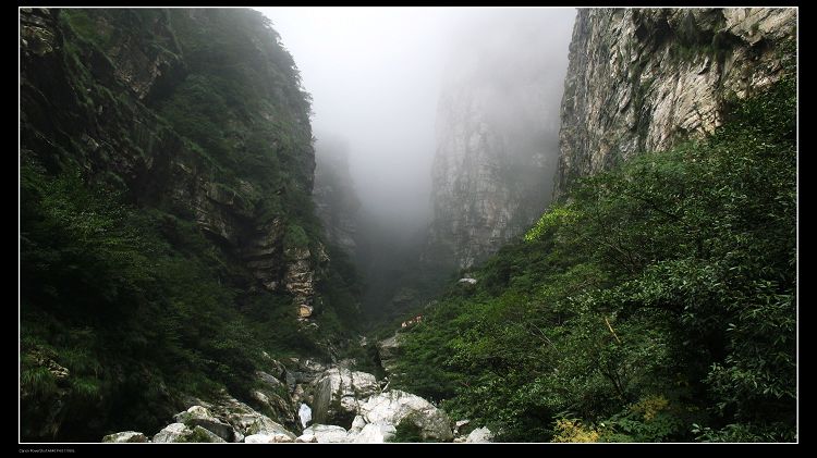 庐山恋