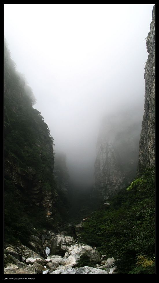庐山恋
