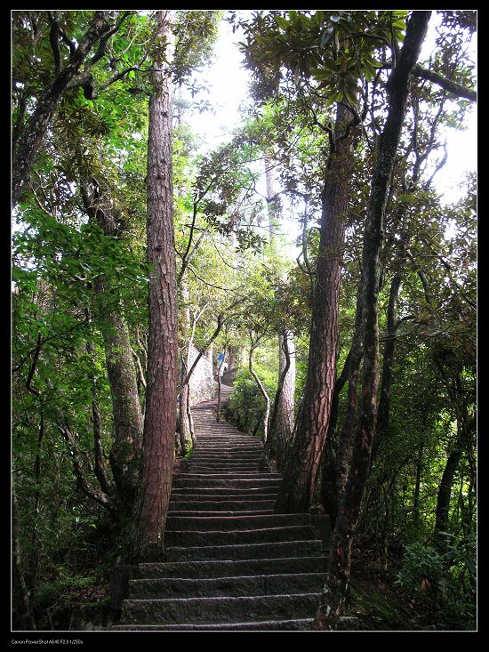 庐山恋