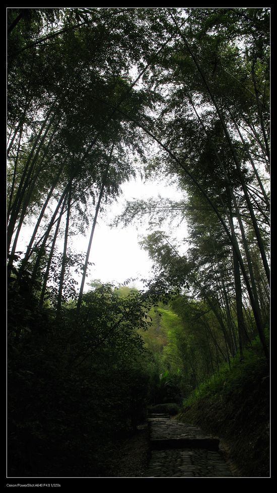 庐山恋