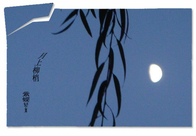 月上柳梢