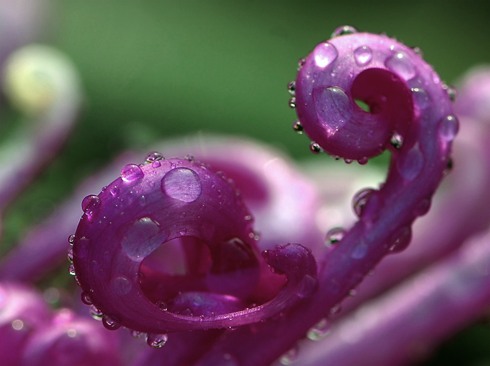 风雨之后