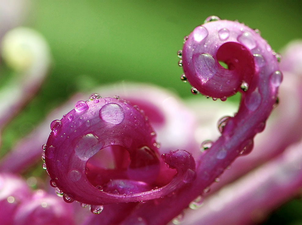 风雨之后
