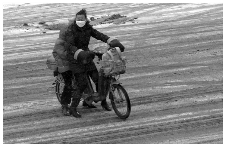 2009年的第一场雪
