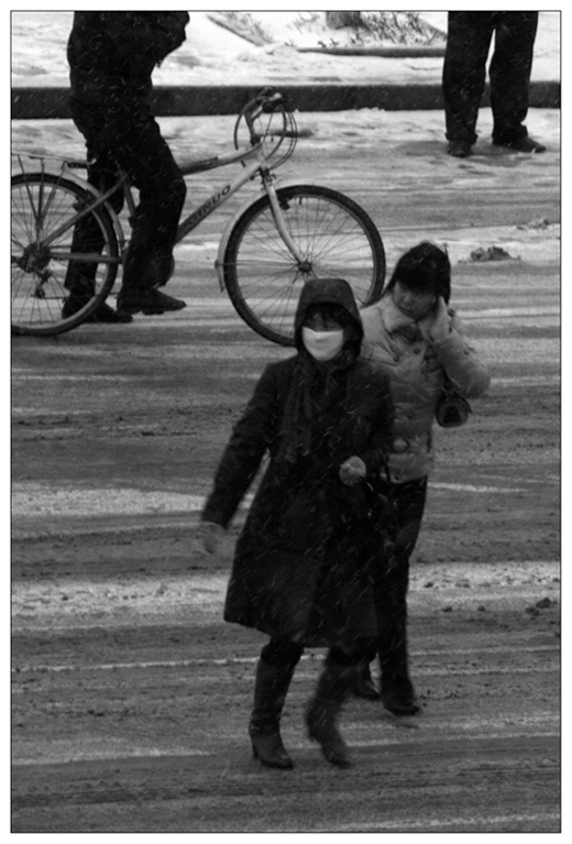 2009年的第一场雪