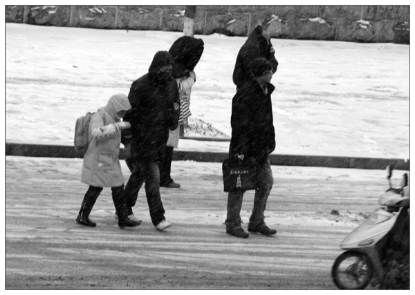 2009年的第一场雪