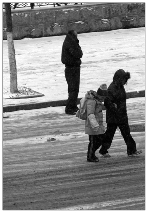 2009年的第一场雪