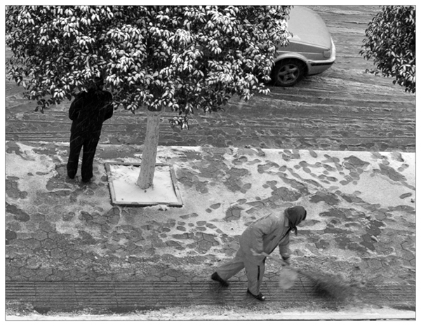 2009年的第一场雪