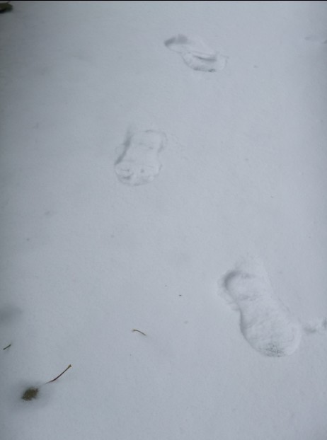 下雪了