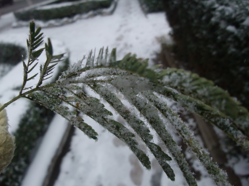 下雪了