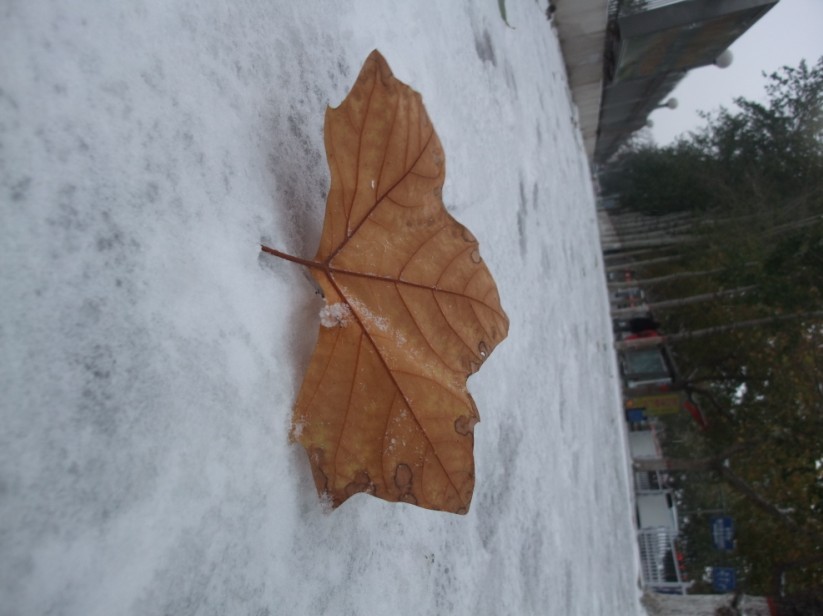 下雪了