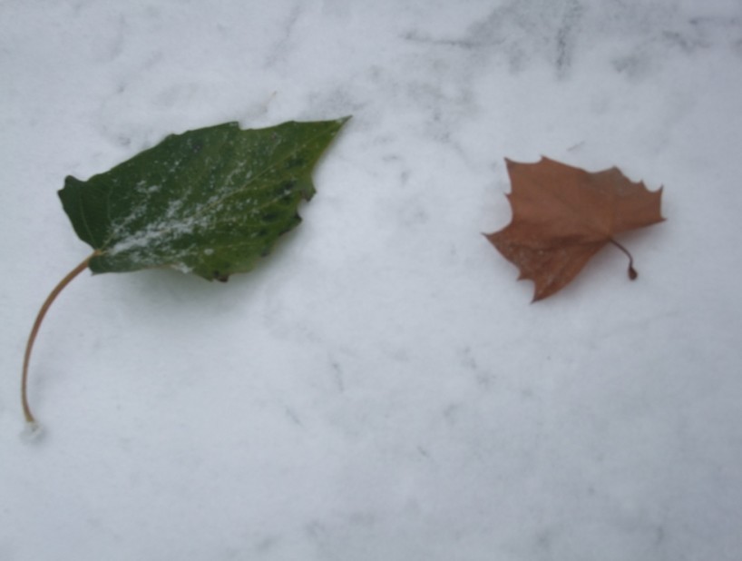 下雪了