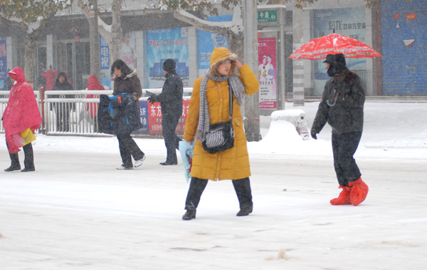 漫漫风雪路