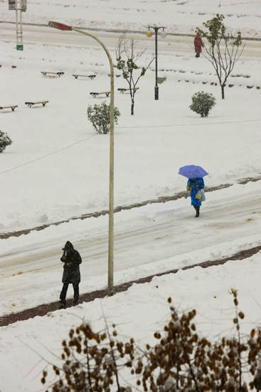 雪还在下