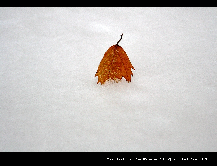雪后