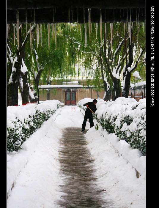 雪后