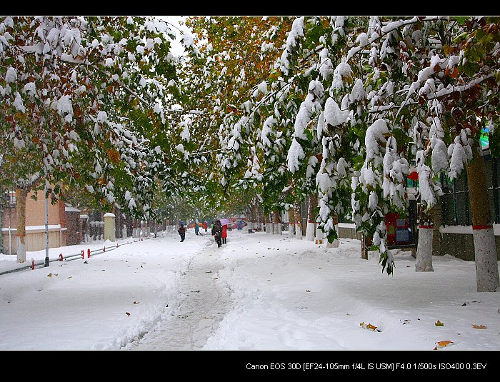 雪后