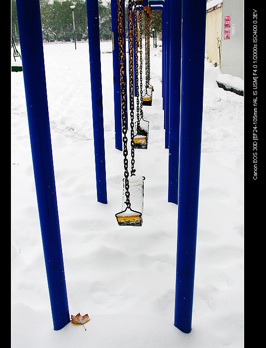 雪后
