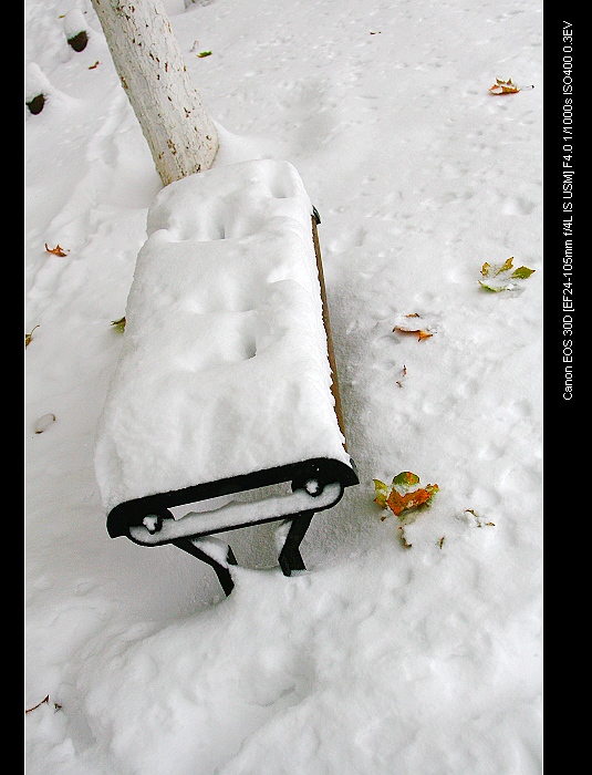 雪后