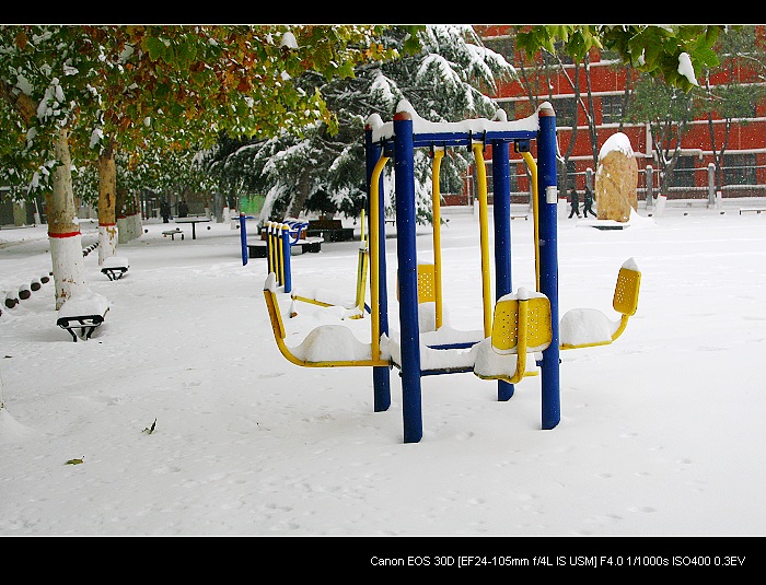 雪后