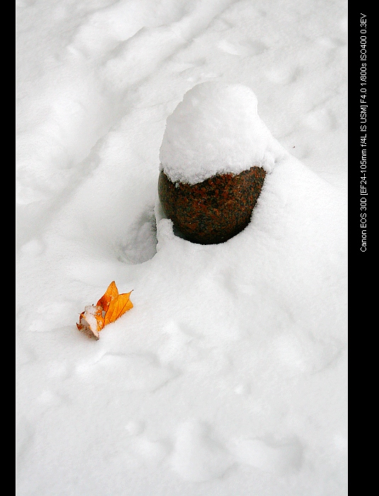 雪后