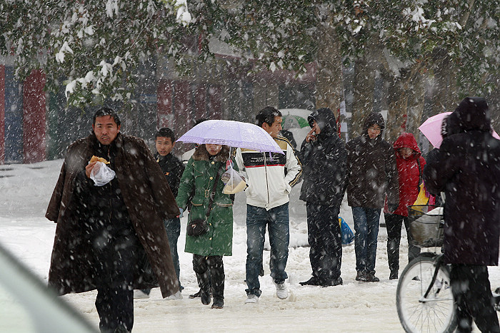 雪中街头小片一组