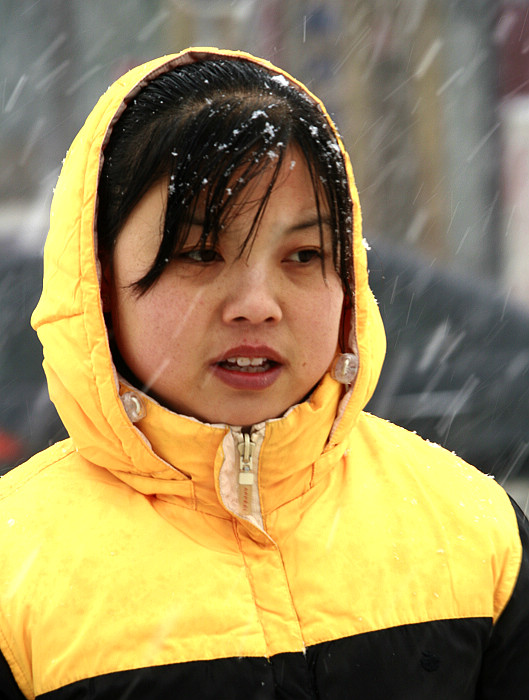 雪中街头小片一组
