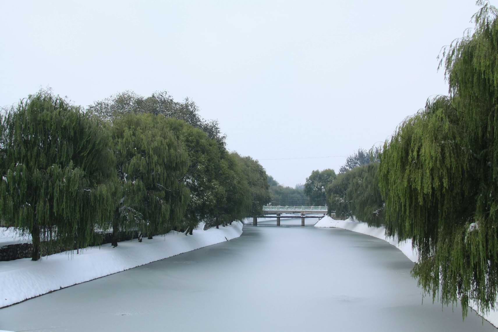 中原桥北风光