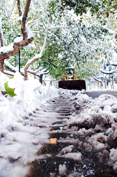 雪后