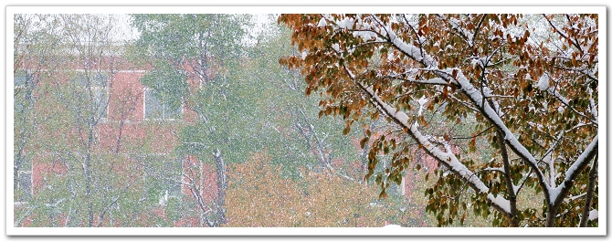 下雪了，转悠转悠。