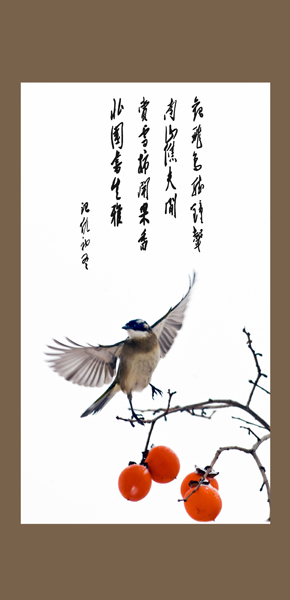 观飞鸟 赏落雪 闻果香