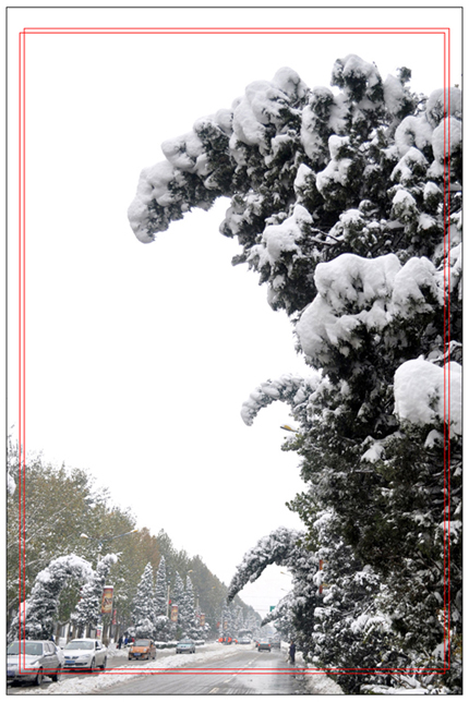 大雪过后