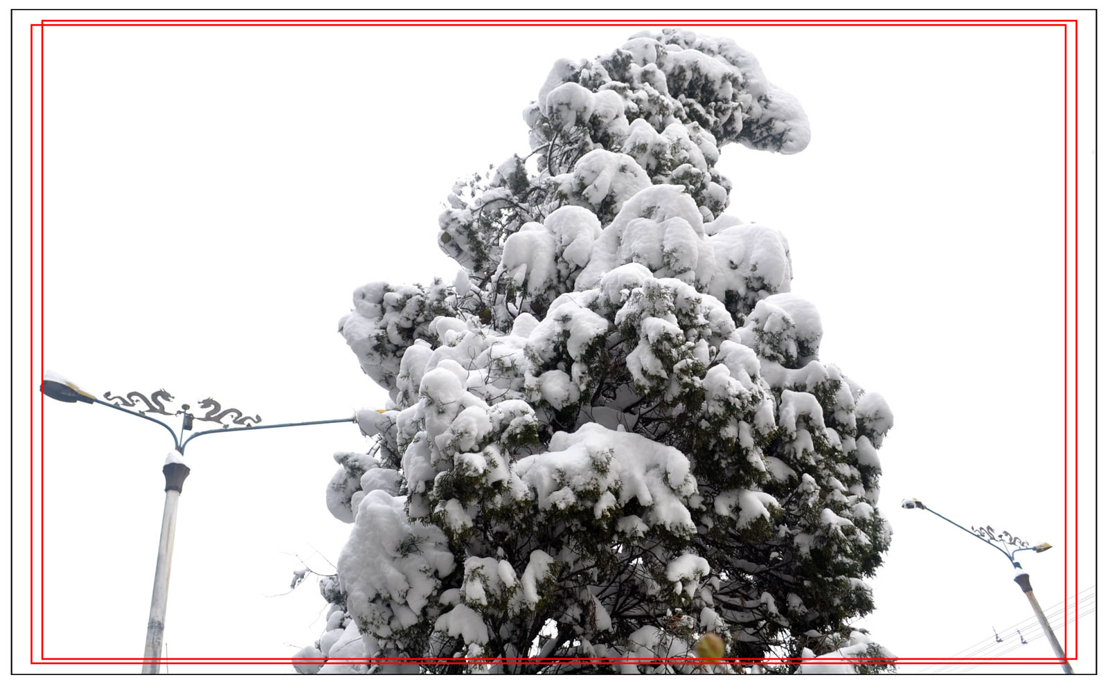 大雪过后