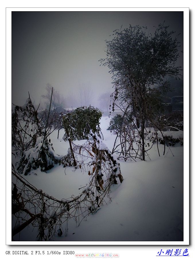 雪