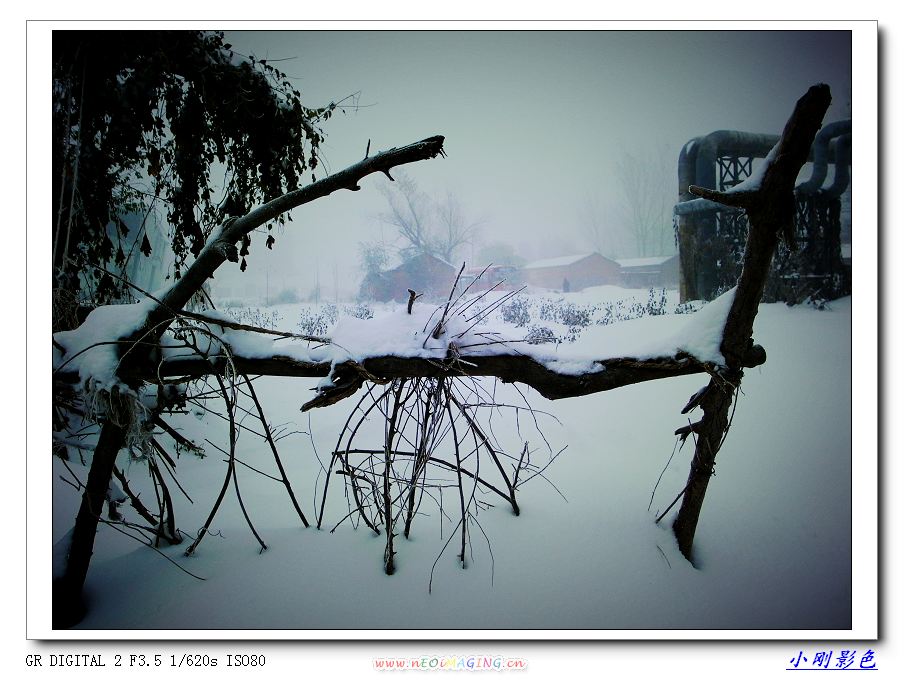 雪