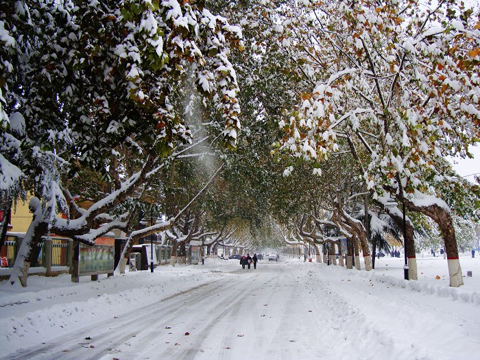 丰年好大雪