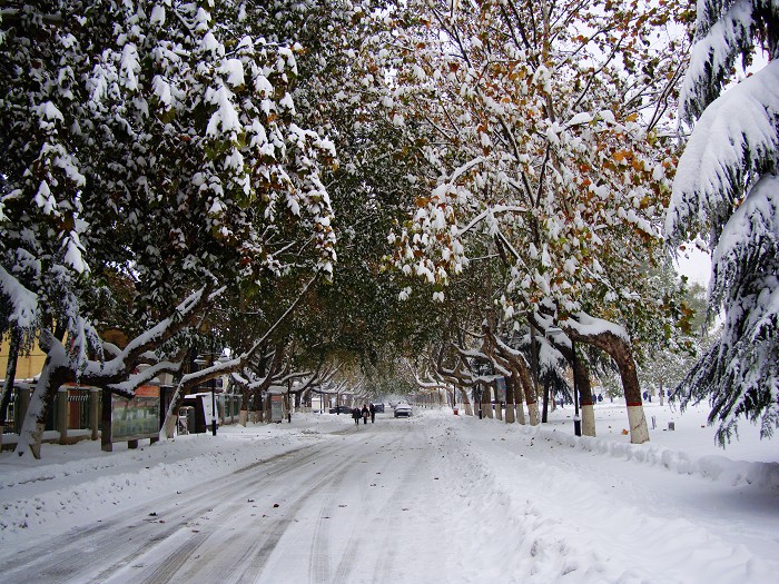 丰年好大雪